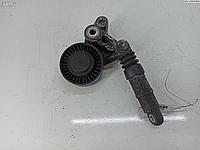 Механизм натяжения ремня, цепи Audi A6 C6 (2004-2011)