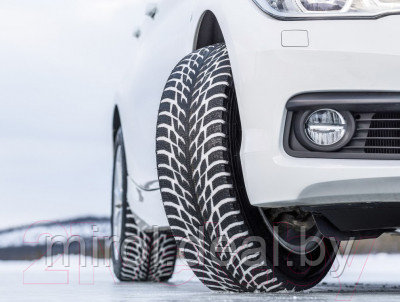 Зимняя шина Nokian Tyres Hakkapeliitta R3 205/65R15 94R - фото 5 - id-p217202781