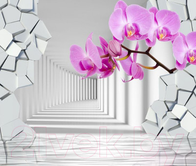 Фотообои листовые Citydecor Орхидея 3D с защитным покрытием - фото 1 - id-p217207359