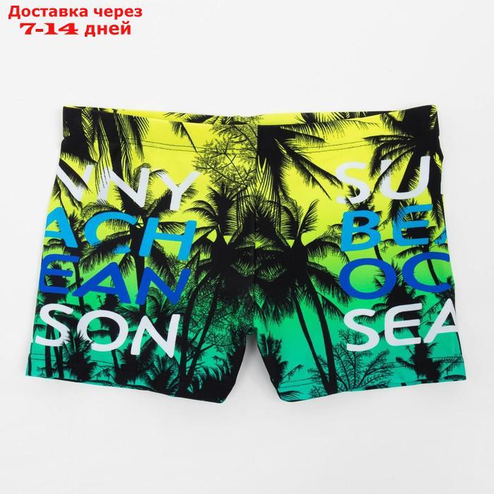 Купальные трусы для мальчика MINAKU "Suny beach", рост 110-116 (6) - фото 1 - id-p216946696
