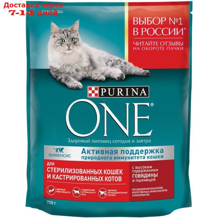 Сухой корм PURINA ONE для стерилизованных кошек, говядина/пшеница, 750 г - фото 1 - id-p216948116