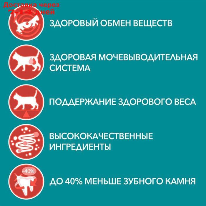 Сухой корм PURINA ONE для стерилизованных кошек, говядина/пшеница, 750 г - фото 3 - id-p216948116