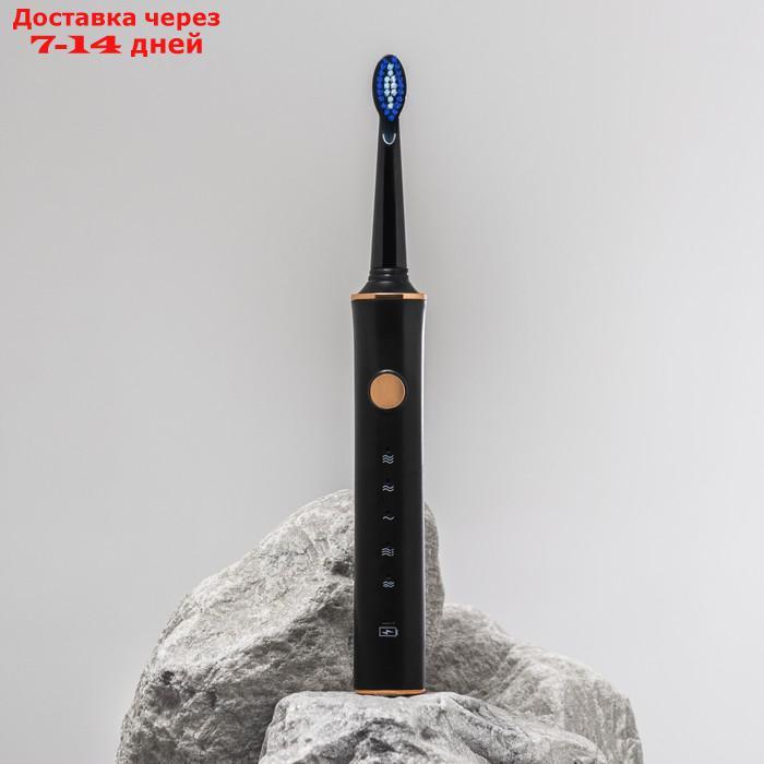 Электрическая зубная щётка LuazON LP-002, вибрационная, 31000 дв/мин, 4 насадки, АКБ, черная