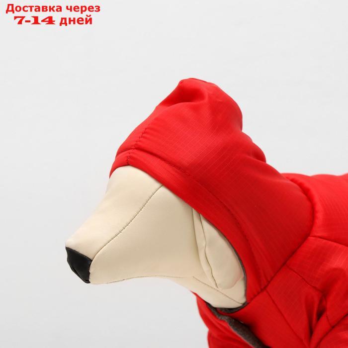 Комбинезон зимний для собак с капюшоном, XL (ДС 32-34 см, ОШ 32 см, ОГ 40-44 см) - фото 4 - id-p216944004