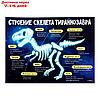 Набор для опытов Эпоха динозавров, скелет тираннозавра, в пакете, фото 6