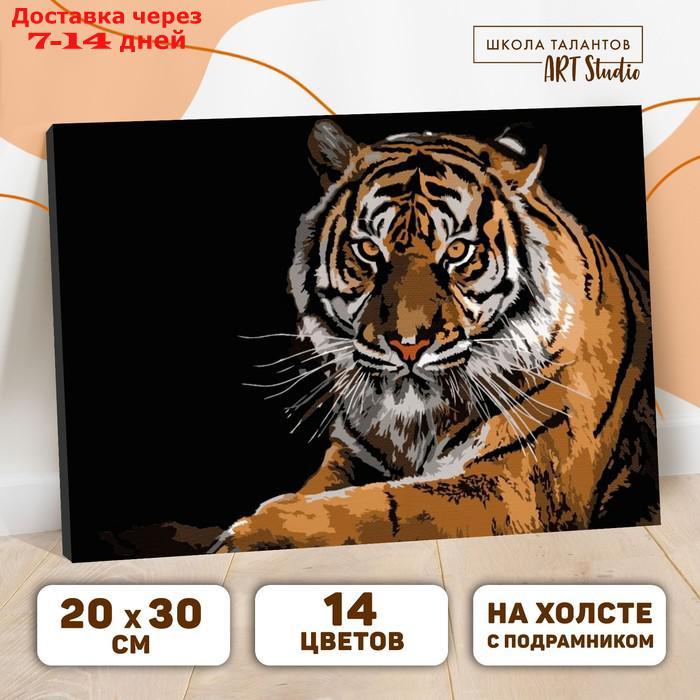 Картина по номерам на холсте с подрамником "Тигр", 30х20 см - фото 1 - id-p216942947