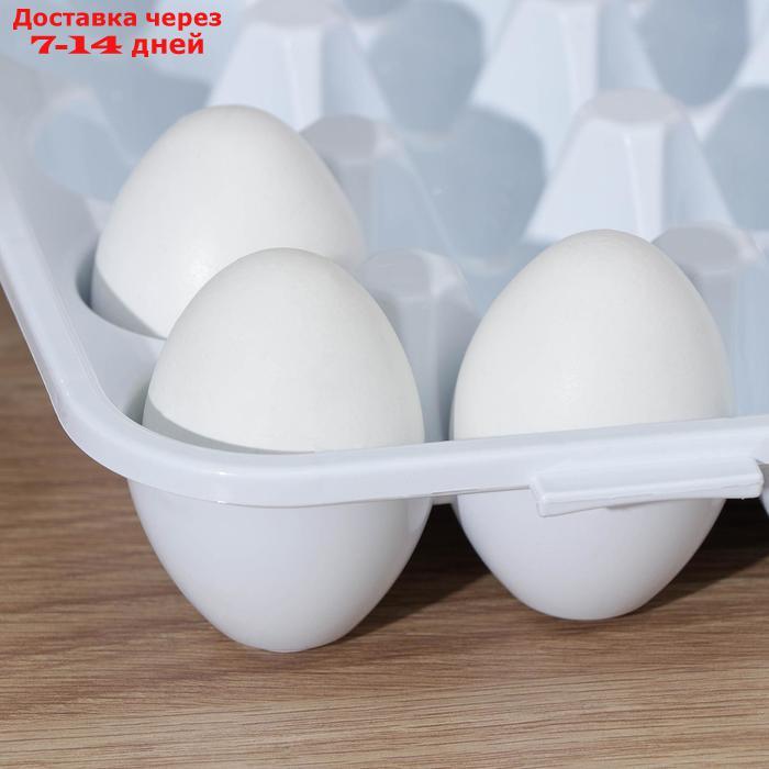 Контейнер для хранения яиц 30 ячеек 32,5х27,5х7,5 см - фото 3 - id-p216944188