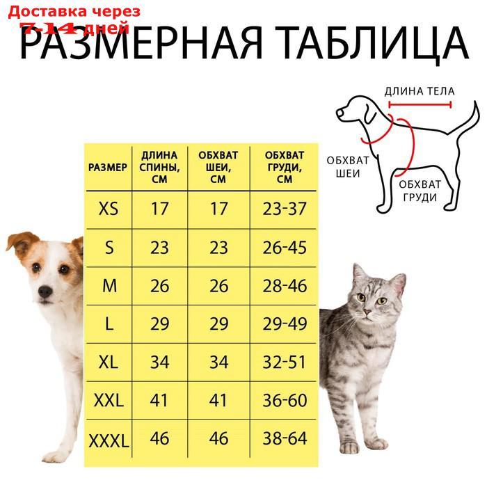 Свитер "Полоски", S (ДС 23, ОШ 23, ОГ 26-45 см) - фото 2 - id-p216946114