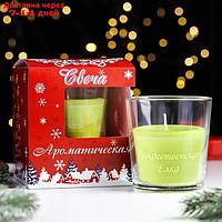 Свеча в стакане ароматическая "Рождественская ёлка", 6,5х8 см, зеленый