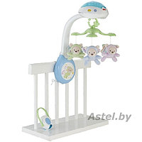 Музыкальная карусель Fisher-Price Мечты о бабочках CDN41 (мобиль, проектор, ночник) (Фишер Прайс)