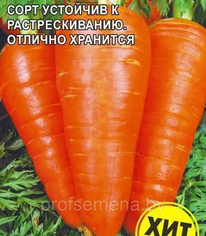 Морковь столовая Шантенэ 2461, семена, 2гр., Италия, (са)