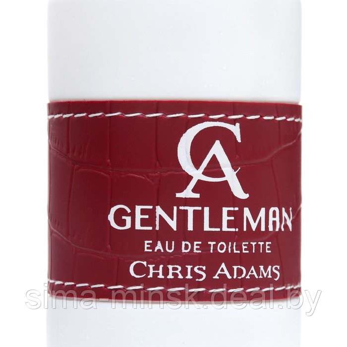 Туалетная вода мужская Chris Adams Ca Gentleman, 100 мл - фото 3 - id-p217338503