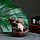 Подставка для благовоний "Будда - созерцание" 12х8х8см, с аромаконусами, фото 3