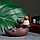Подставка для благовоний "Будда - созерцание" 12х8х8см, с аромаконусами, фото 4