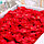 Цветы сакуры мыльные красные, набор 50 шт, фото 3