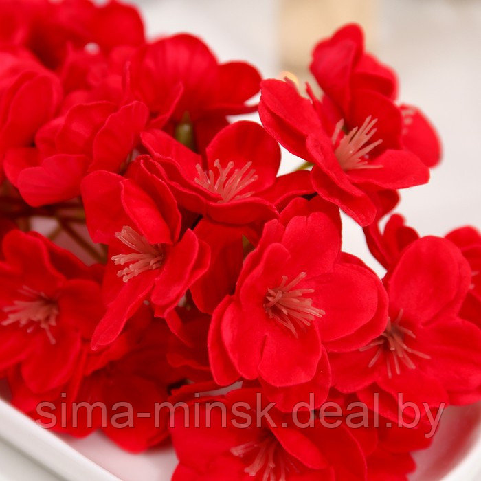 Цветы сакуры мыльные красные, набор 50 шт - фото 4 - id-p217338771