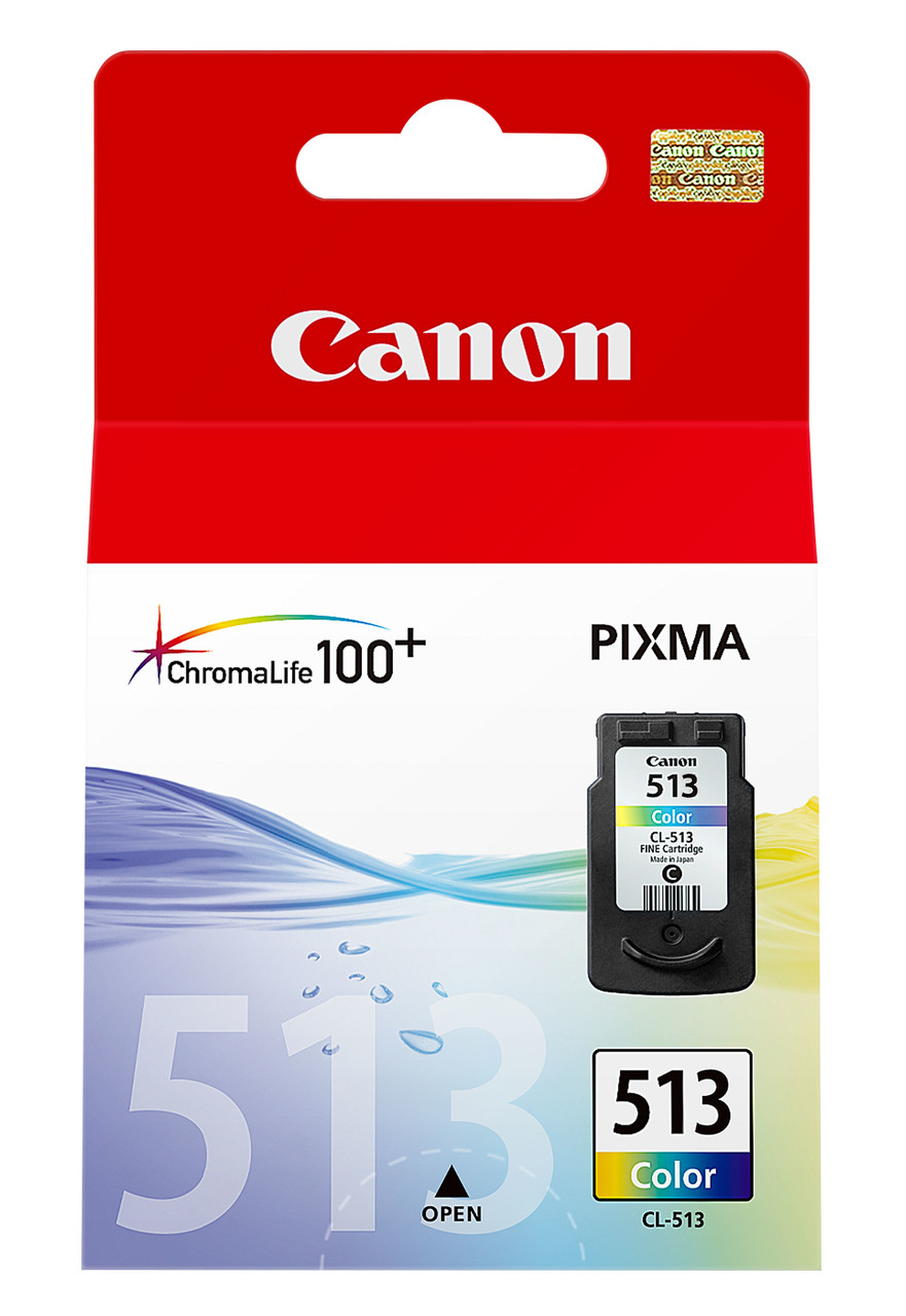Набор картриджей Canon PIXMA 513 (2971b001)