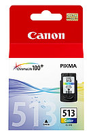 Набор картриджей Canon PIXMA 513 (2971b001)