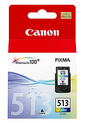 Набор картриджей Canon PIXMA 513 (2971b001)