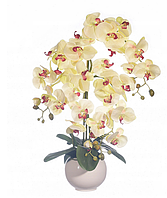 Цветочная композиция из орхидей в горшке 4 ветки R-106
