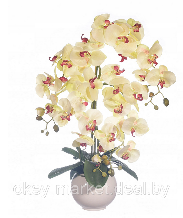 Цветочная композиция из орхидей в горшке 4 ветки R-106 - фото 1 - id-p157218087