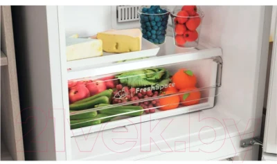 Холодильник с морозильником Indesit ITR 4200 W - фото 8 - id-p217354806
