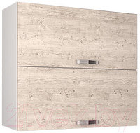 Шкаф навесной для кухни Anrex Alesia 2DG/80-F1