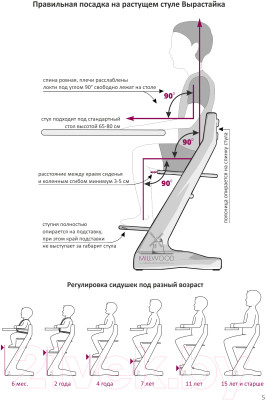 Стул детский Millwood Вырастайка 2 СДН-3 Кат 4.3 - фото 10 - id-p217380492