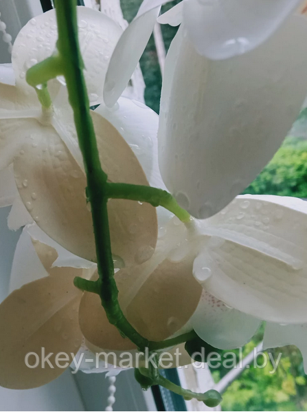 Цветочная композиция из орхидей в горшке 3 ветки D-570 - фото 9 - id-p215282048
