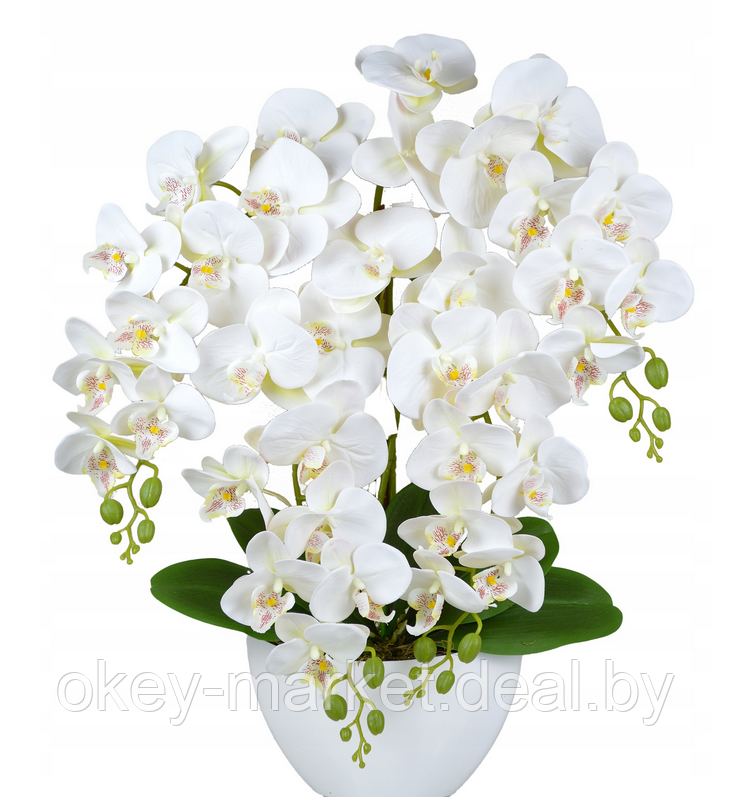 Цветочная композиция из орхидей в горшке 4 ветки D-566 - фото 2 - id-p177937661