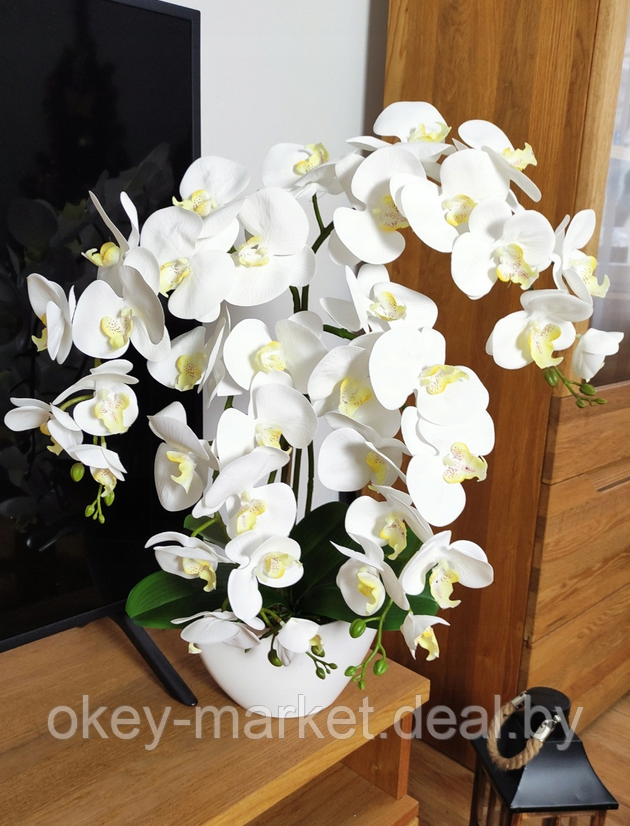 Цветочная композиция из орхидей в горшке 4 ветки D-566 - фото 8 - id-p177937661