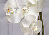 Цветочная композиция из орхидей в горшке F-2, фото 3