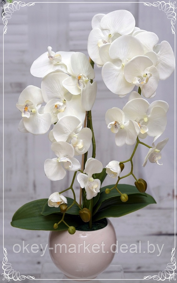 Цветочная композиция из орхидей в горшке F-2 - фото 3 - id-p157334317