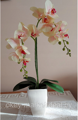 Цветочная композиция из орхидей в горшке R-45, фото 3