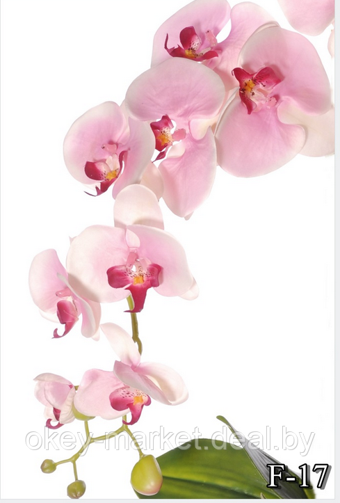 Цветочная композиция из орхидей в горшке F-17 - фото 9 - id-p147753010