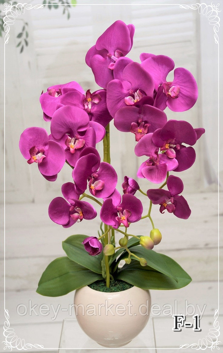 Цветочная композиция из орхидей в горшке F-1
