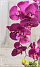 Цветочная композиция из орхидей в горшке F-1, фото 4