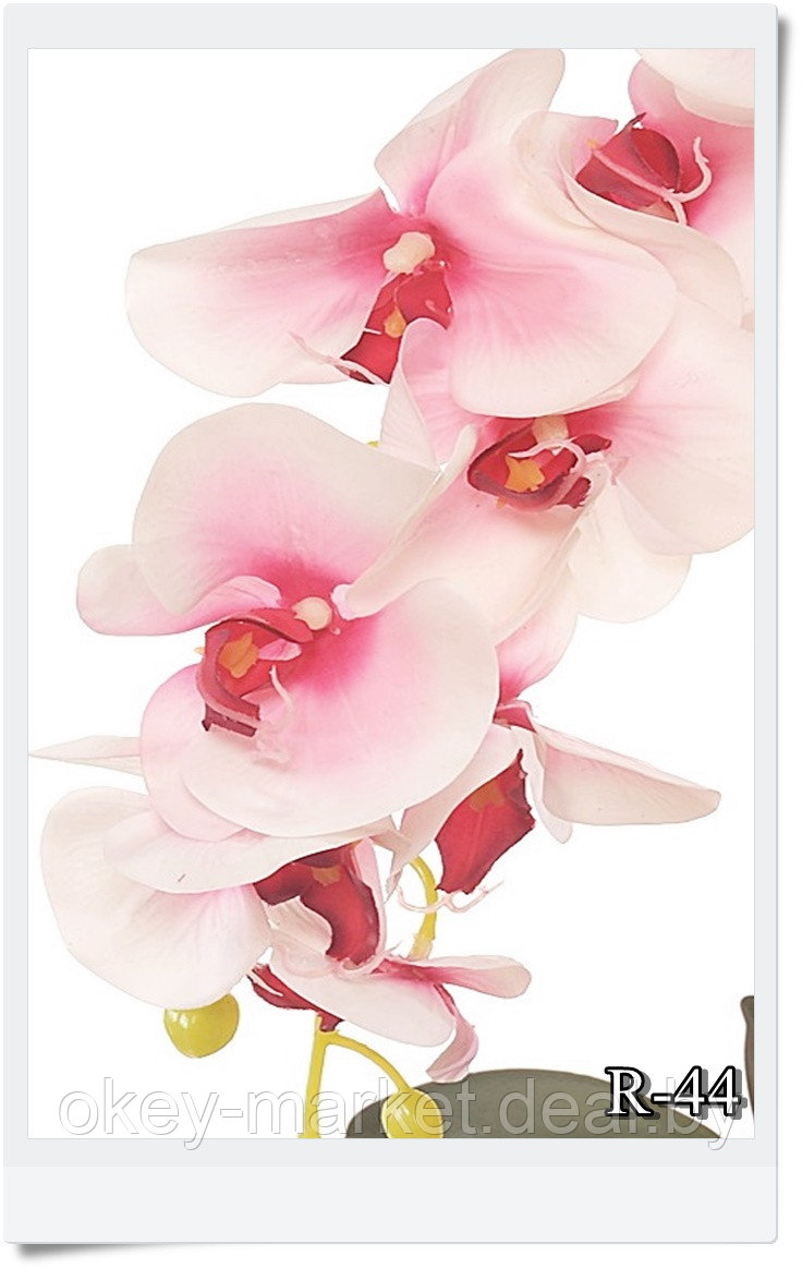 Цветочная композиция из орхидей в горшке R-44 - фото 6 - id-p157333651