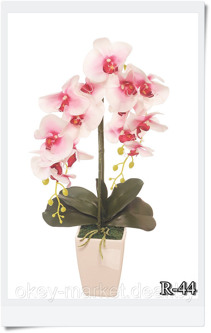 Цветочная композиция из орхидей в горшке R-44 - фото 5 - id-p157333651