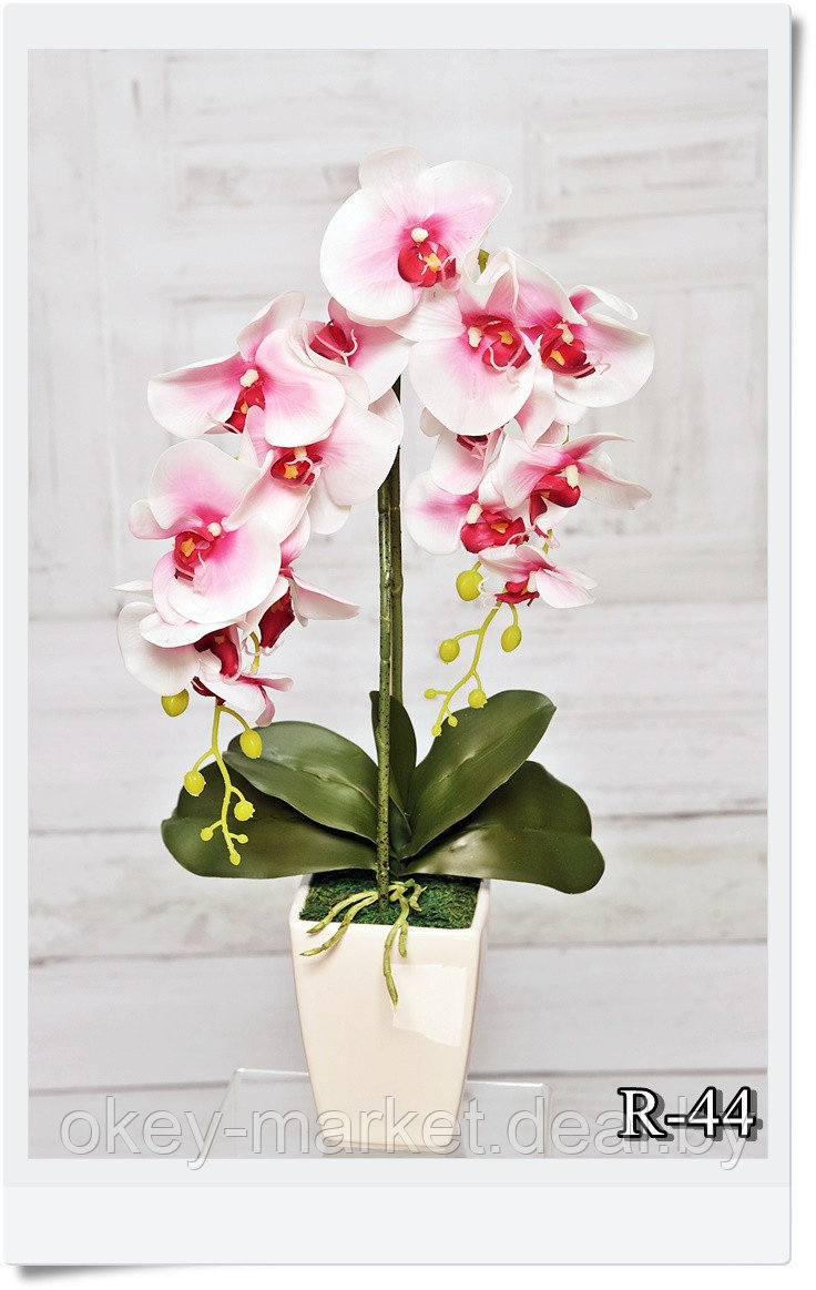 Цветочная композиция из орхидей в горшке R-44 - фото 2 - id-p157333651