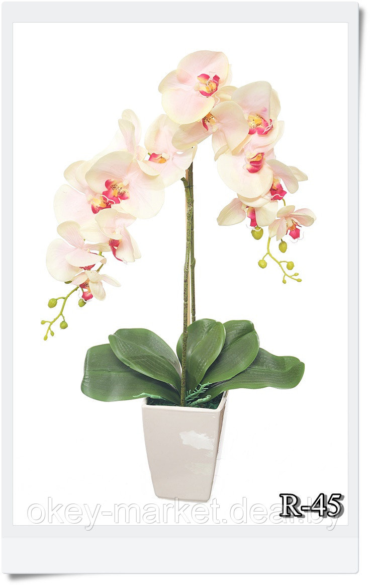 Цветочная композиция из орхидей в горшке R-45 - фото 2 - id-p157333478