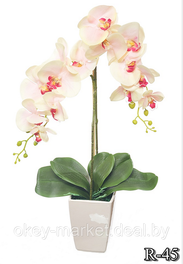Цветочная композиция из орхидей в горшке R-45, фото 2