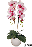 Цветочная композиция из орхидей в горшке R-400
