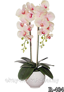 Цветочная композиция из орхидей в горшке R-404
