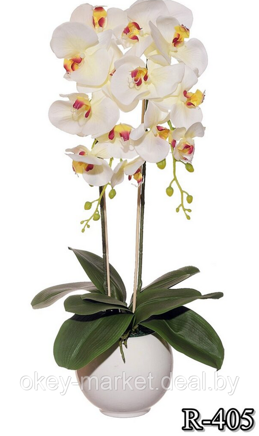 Цветочная композиция из орхидей в горшке R-405, фото 2