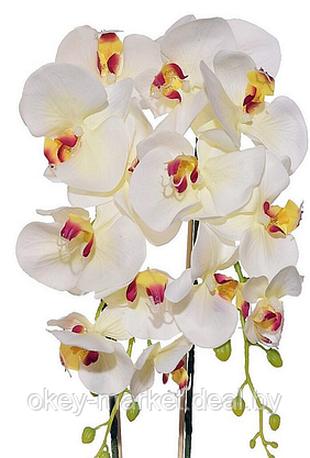 Цветочная композиция из орхидей в горшке R-405, фото 3