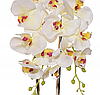 Цветочная композиция из орхидей в горшке R-405, фото 4