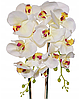 Цветочная композиция из орхидей в горшке R-405, фото 5