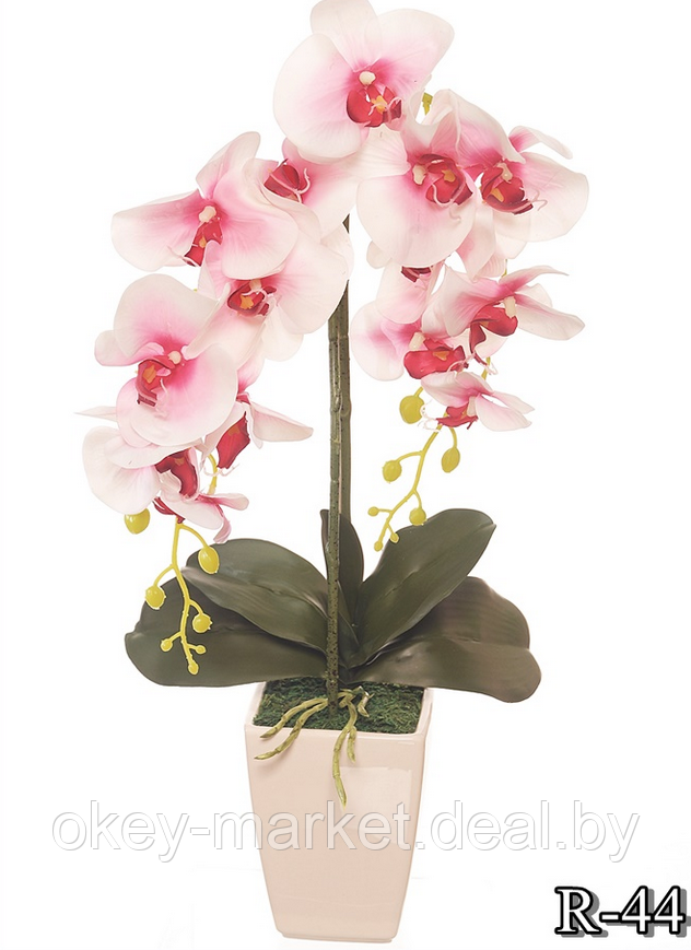 Цветочная композиция из орхидей в горшке R-44 - фото 7 - id-p157333651