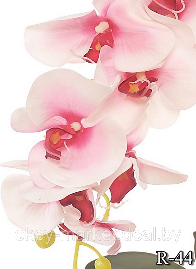 Цветочная композиция из орхидей в горшке R-44 - фото 9 - id-p157333651